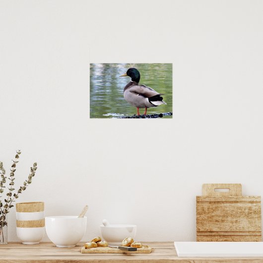 Poster met wilde eend (Keuken)