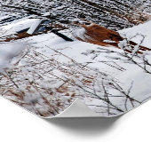 Poster met witstaartherten in wintersneeuw (Hoek)