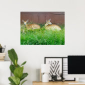 Poster met witte toneelklare deer Fawns (Thuiskantoor)