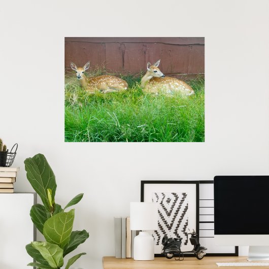 Poster met witte toneelklare deer Fawns (Thuiskantoor)