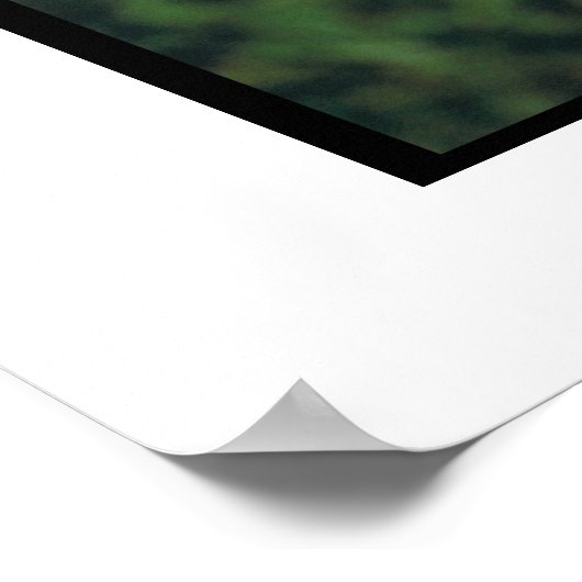 Poster met zachte beklede wieltjes (Hoek)