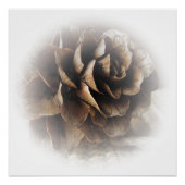 Poster met zetmeel (Voorkant)