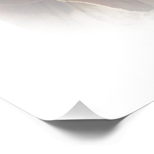 Poster met zetmeel (Hoek)