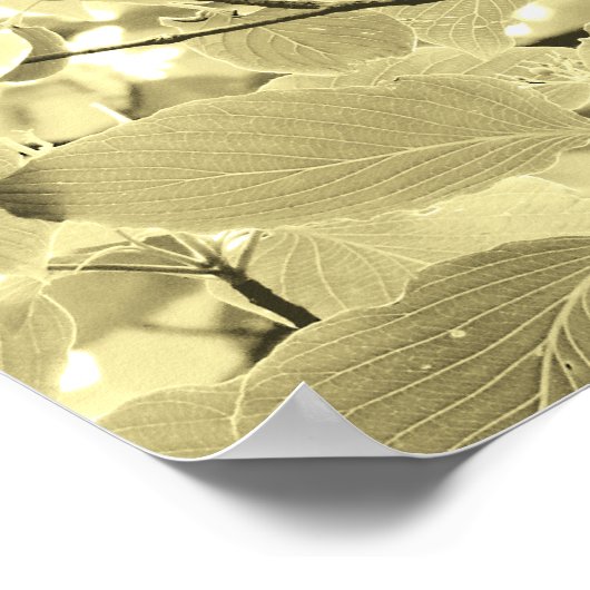 Poster met zonlicht (Hoek)