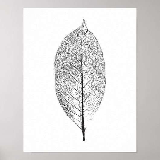 Poster met zwart en wit blad (Voorkant)