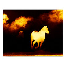 Poster met zwarte en goudpaarden