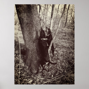 Poster met zwarte en Tan Coon Hounds