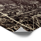 Poster met zwarte en Tan Coon Hounds (Hoek)