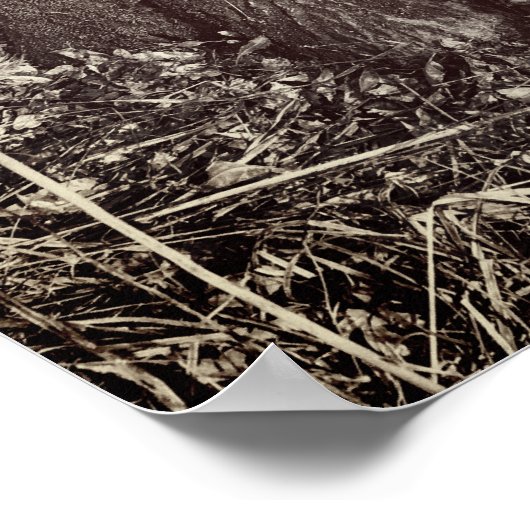 Poster met zwarte en Tan Coon Hounds (Hoek)