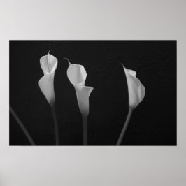 Poster met zwarte en witte bloemen