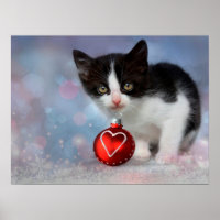  Poster met zwarte en witte katjes