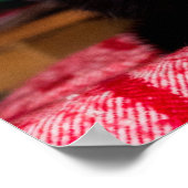 Poster met zwarte en witte katjes (Hoek)