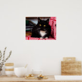 Poster met zwarte en witte katjes (Keuken)