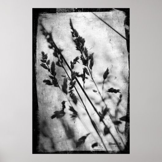 Poster met zwarte en witte korst (Voorkant)