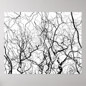 Poster met zwarte en witte zonnebomen (Voorkant)