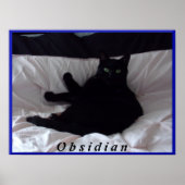 Poster met zwarte kat "Obsidian" (Voorkant)