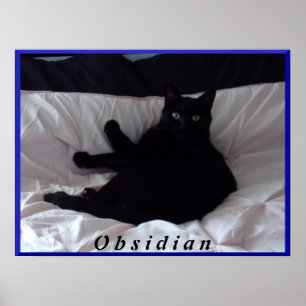 Poster met zwarte kat "Obsidian"
