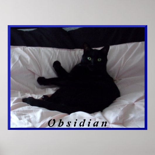 Poster met zwarte kat "Obsidian" (Voorkant)