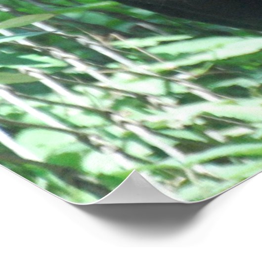 Poster met zwarte panterkat (Hoek)