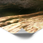 Poster met zwarte panthersliep (Hoek)