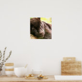 Poster met zwarte panthersliep (Keuken)