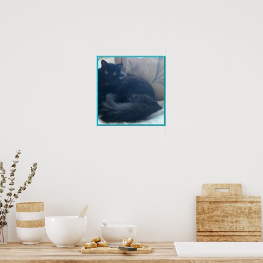 Poster met zwarte Perzische kat (Keuken)