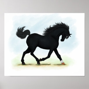Poster met zwarte schoonheid (Star & Sock) voor dr