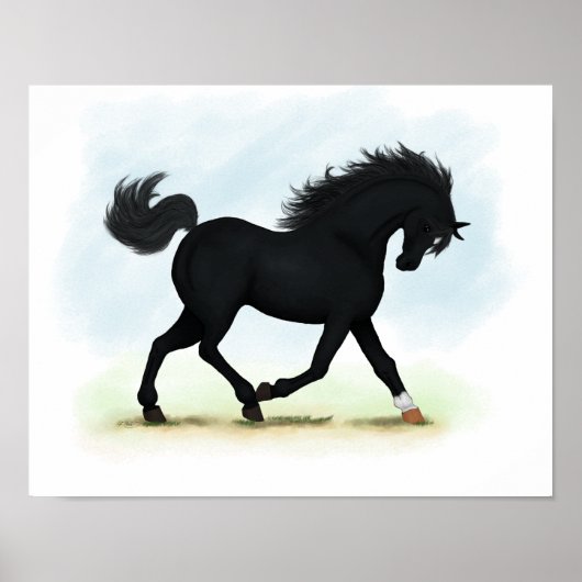 Poster met zwarte schoonheid (Star & Sock) voor dr (Voorkant)