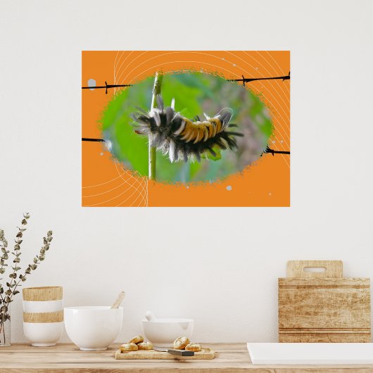 Poster Milkweed Tussock Moth Caterpijler (Keuken)