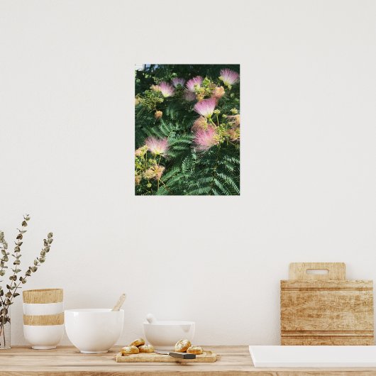 Poster Mimosa Tree Blooms (Keuken)