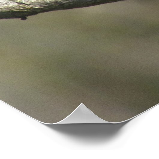 Poster - Mockingvogel (Hoek)