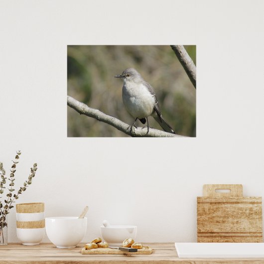 Poster - Mockingvogel (Keuken)