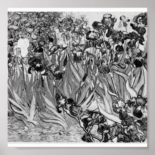 Poster-Monochrome-Van Gogh-Irises Poster (Voorkant)