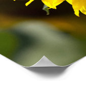 Poster - Mooie Gele Zonnebloem Close-up (Hoek)