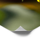 Poster - Mooie Gele Zonnebloem Close-up (Hoek)