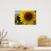 Poster - Mooie Gele Zonnebloem Close-up (Keuken)
