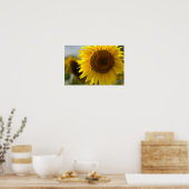 Poster - Mooie Gele Zonnebloem Close-up (Keuken)