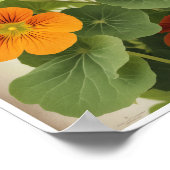 Poster Mooie Nasturtium Bloemwand Art Decor (Hoek)