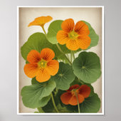 Poster Mooie Nasturtium Bloemwand Art Decor (Voorkant)