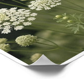 Poster Mooie Queen Anne's Lace Flower Wall Art (Hoek)