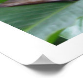 poster, mooie roze bloem in Jamaica Poster (Hoek)