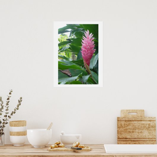 poster, mooie roze bloem in Jamaica Poster (Keuken)