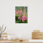 Poster mooie roze Penstemon Vloer Garden (Keuken)