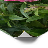 Poster mooie roze Penstemon Vloer Garden (Hoek)