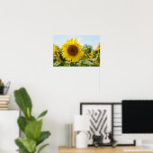 Poster - Mooie zonnebloemveld (Thuiskantoor)
