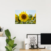 Poster - Mooie zonnebloemveld  (Thuiskantoor)
