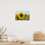 Poster - Mooie zonnebloemveld (Keuken)