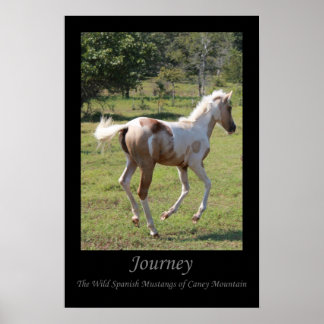 poster "Moon Dancer" - Reis