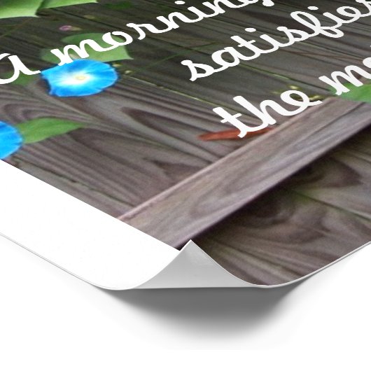 Poster/Morning Glory Poster (Hoek)