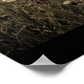 Poster Morning Mist Dandelions (Hoek)